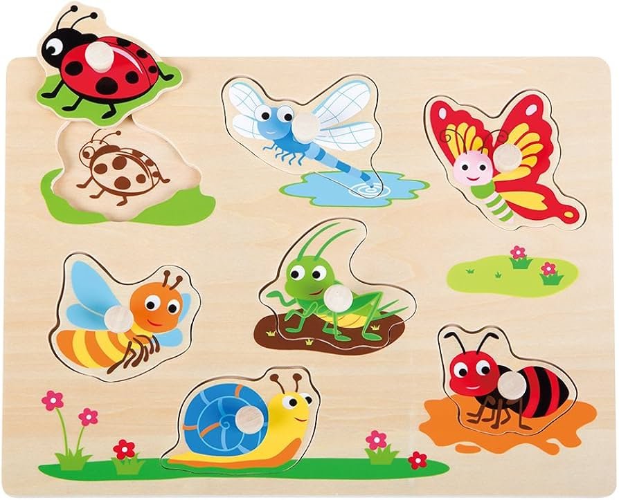 Learning Insect Puzzle Toy